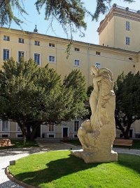 La corte della Sede centrale