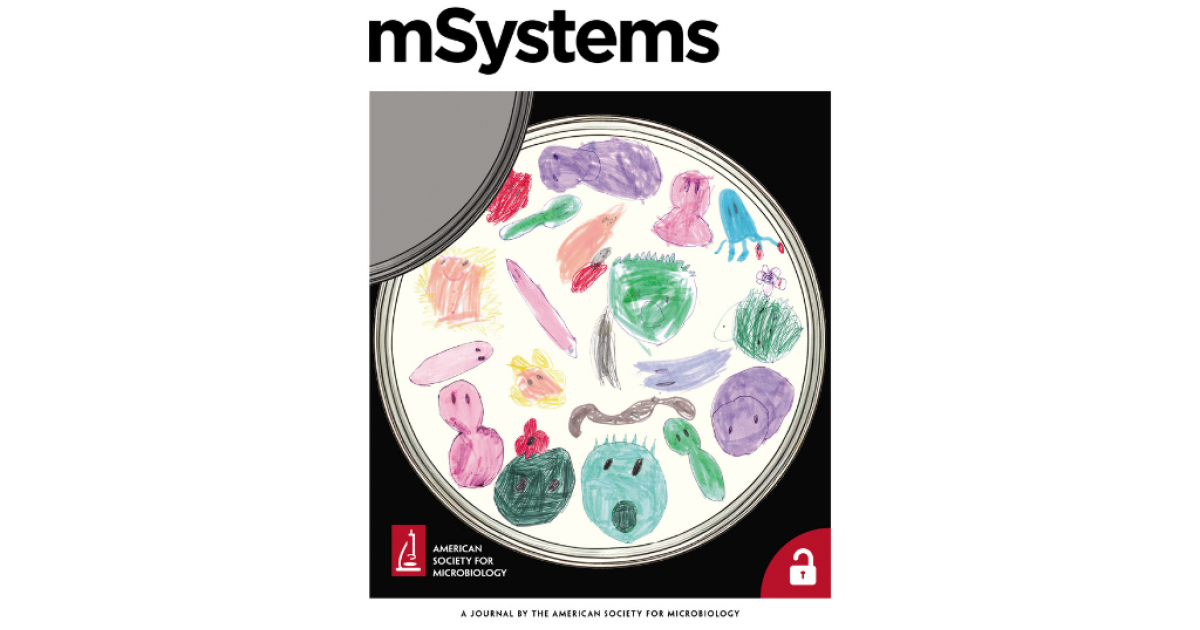 Come varia il microbiota intestinale con l’età: studio dell’Università ...